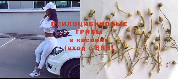 прущие крисы Алексин