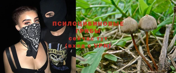 прущие крисы Алексин