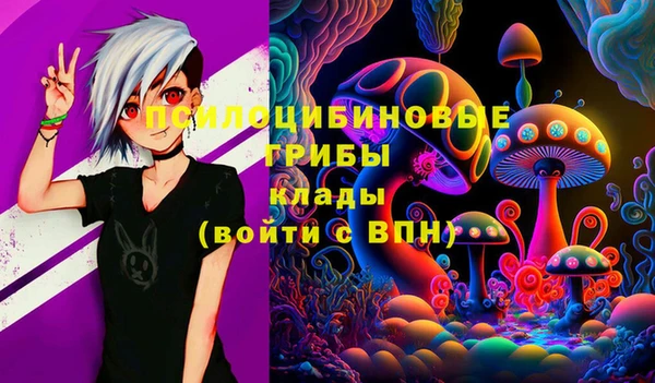 прущие крисы Алексин
