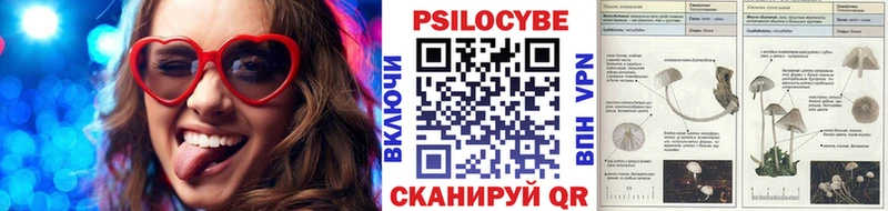 Галлюциногенные грибы GOLDEN TEACHER  Кремёнки 